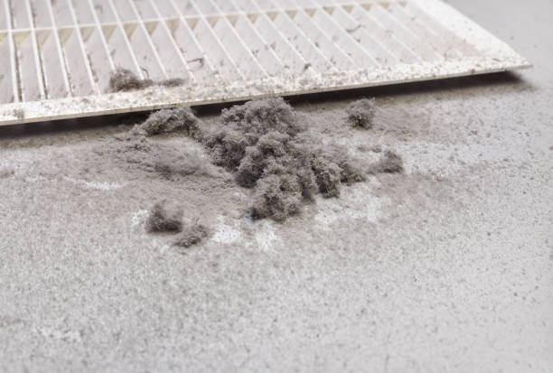 Best Affordable HVAC Duct Cleaning  in Linden, NJ