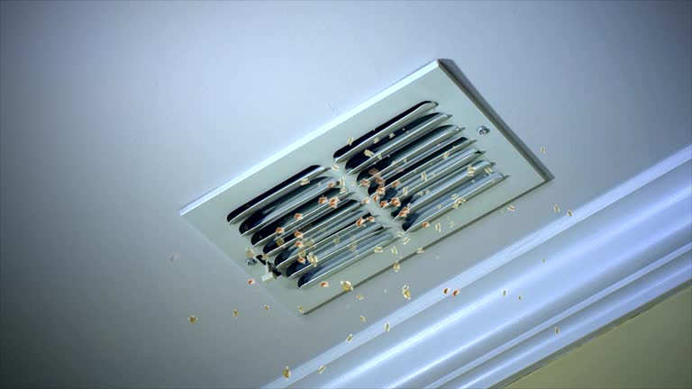 Best Air Duct Cleaning Near Me  in Linden, NJ